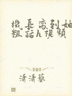 机长脔到她哭h粗话h视频