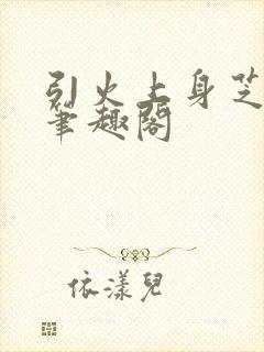 引火上身芝麻糖笔趣阁