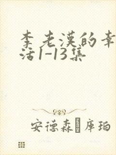 李老汉的幸福生活1-13集