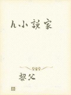 h小说家