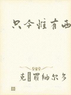 只今惟有西江月