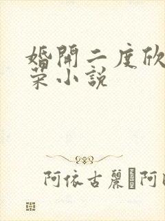 婚开二度欣欣向荣小说