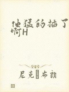 他猛的插了进去啊H