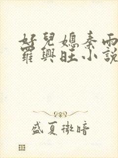 好儿媳秦雨罗明罗兴旺小说