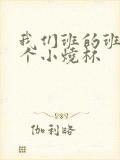 我们班的班花是个小烧杯