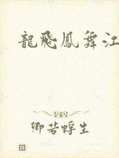 龙飞凤舞江一龙
