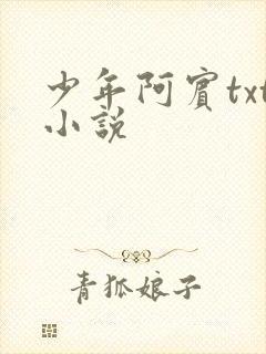 少年阿宾txt小说