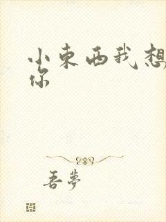 小东西我想弄坏你