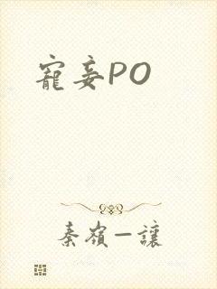 宠妾PO