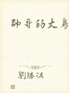 帅哥的大鸟