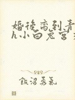 婚后脔到青梅哭h小白兔宫交h