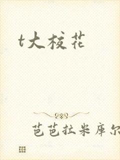 t大校花