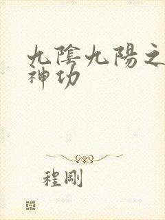 九阴九阳之阴阳神功
