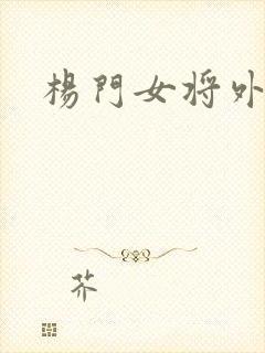 杨门女将外传