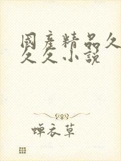 国产精品久久久久久小说