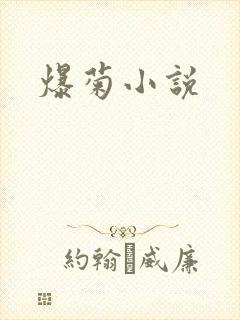 爆菊小说