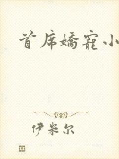 首席娇宠小情人