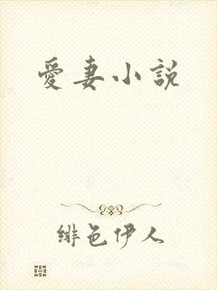 爱妻小说