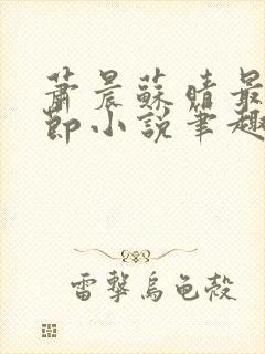 萧晨苏晴最新章节小说笔趣阁