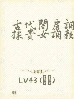 古代闺房调教h揉贵女调教记