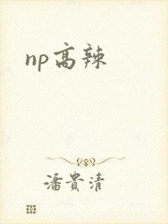 np高辣