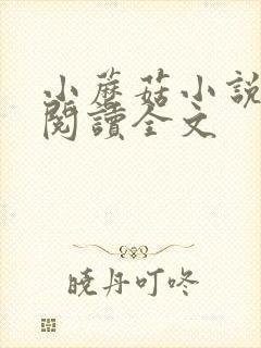 小蘑菇小说免费阅读全文