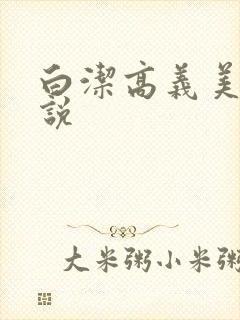白洁高义美红小说