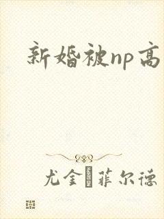 新婚被np高h