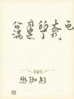 公么的大龟强大满足了我