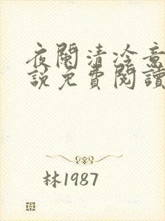 夜阑清冷意欢小说免费阅读