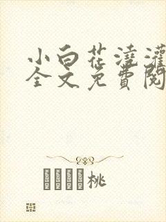 小白花浇灌日常全文免费阅读