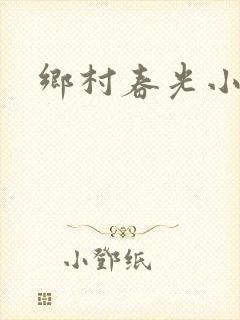 乡村春光小说