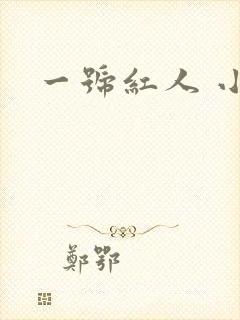 一号红人 小说
