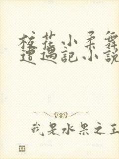 校花小柔舞蹈室遭遇记小说