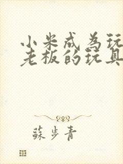 小米成为玩具店老板的玩具