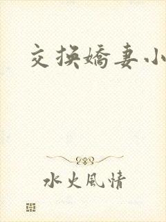 交换娇妻小说