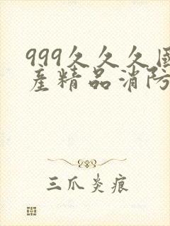 999久久久国产精品消防器材