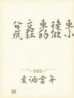 公交车后车座的疯狂的做小