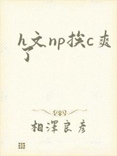 h文np挨c爽了