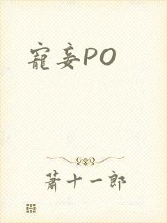 宠妾PO