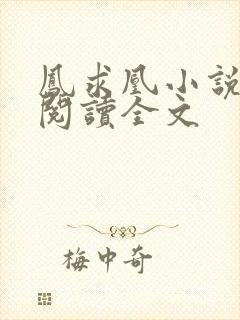 凤求凰小说免费阅读全文