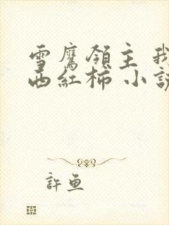 雪鹰领主 我吃西红柿 小说
