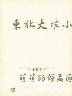 东北大坑小说