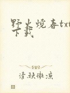 野火烧春txt下载