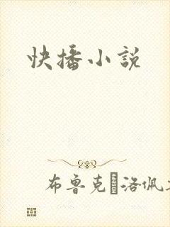 快播小说