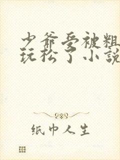 少爷受被粗汉H玩松了小说