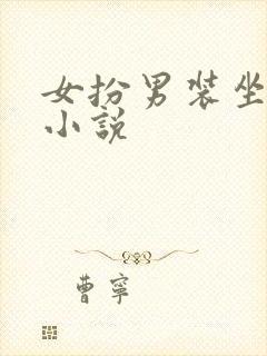 女扮男装坐江山小说