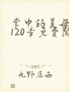 掌中的美母版主120章免费阅读