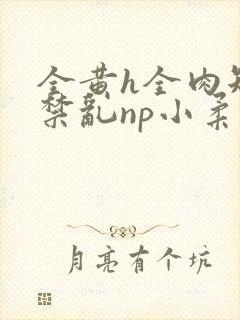 全黄h全肉短篇禁乱np小柔