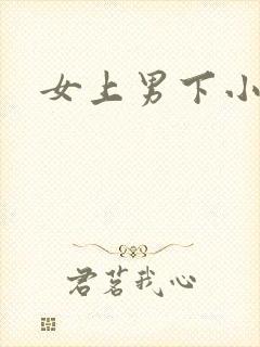 女上男下小说